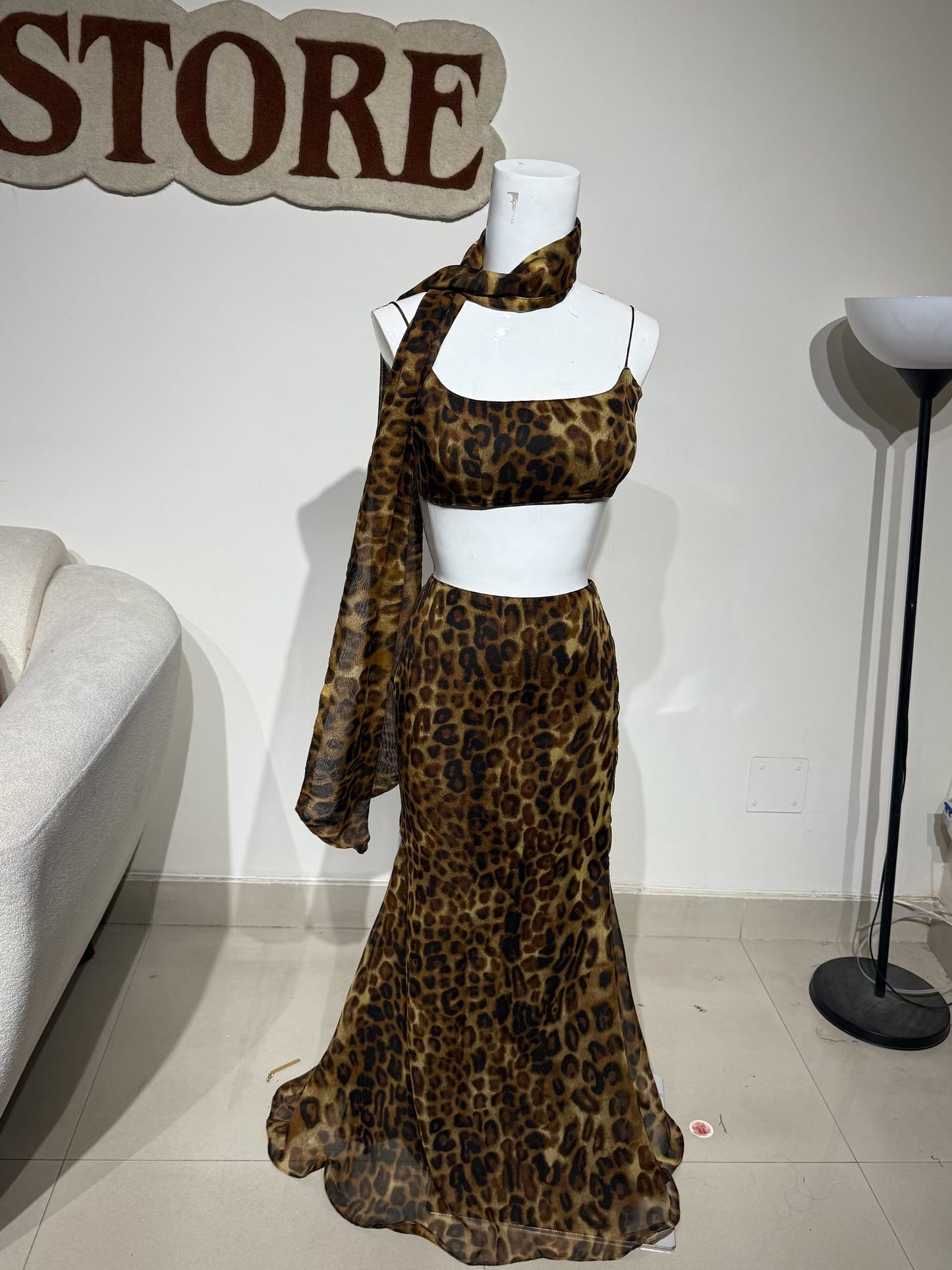 Cheetah set