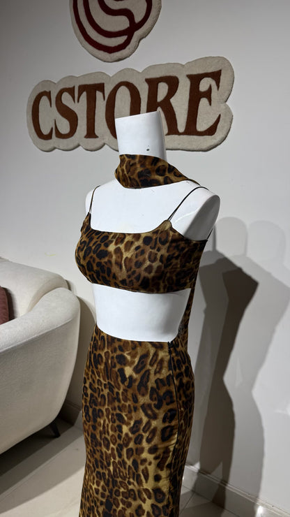 Cheetah set