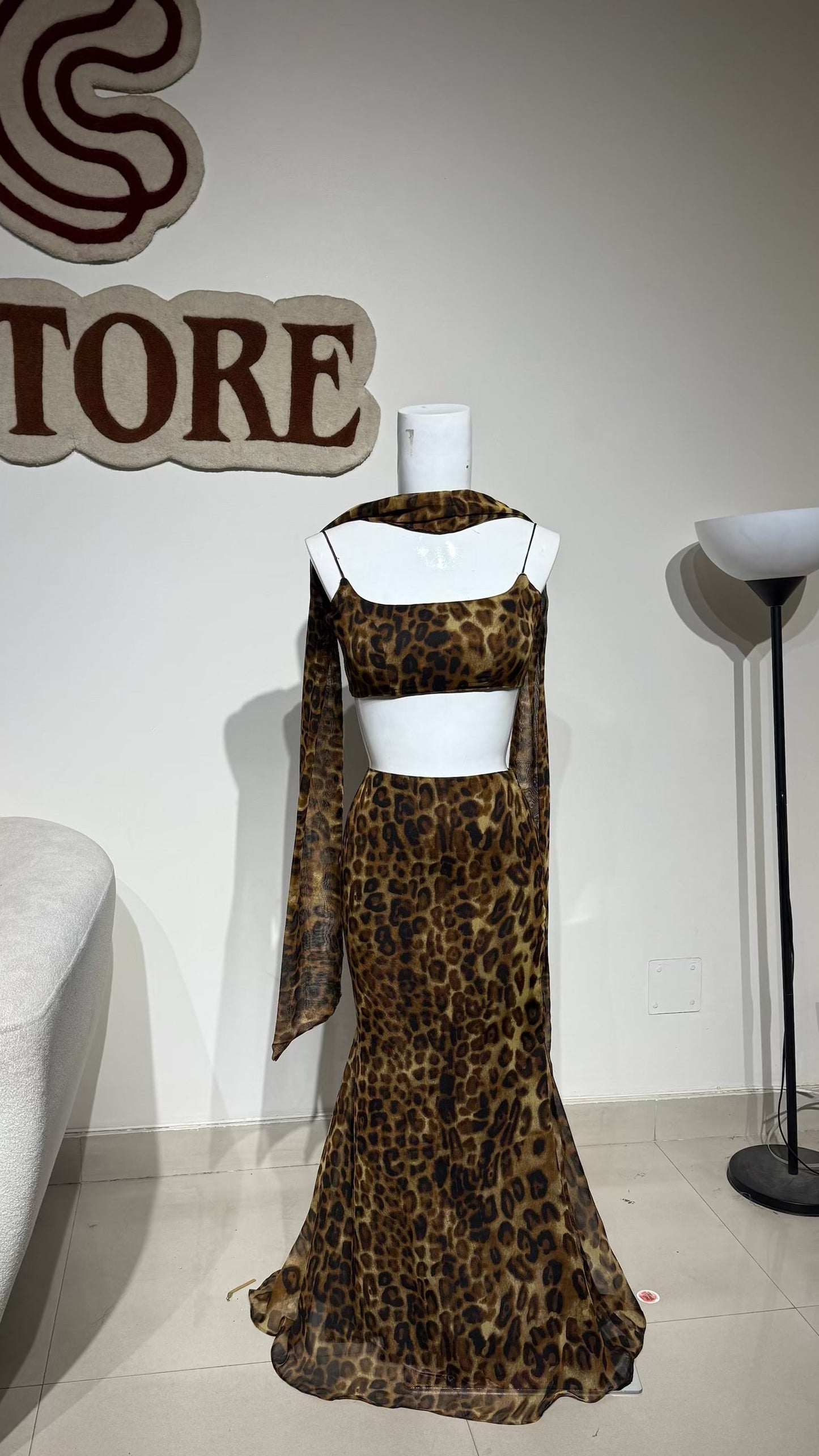 Cheetah set