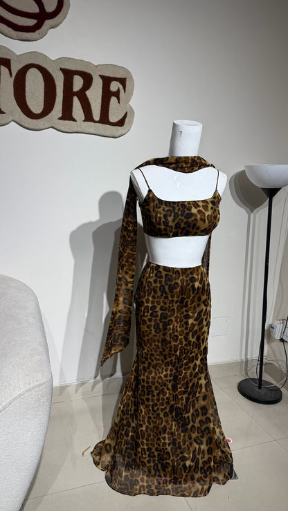 Cheetah set
